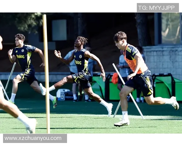 马里男子足球队球星现状分析及其在国际赛场上的表现